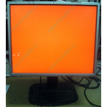 Монитор 19" TFT HP 1955 (DVI в Астрахани, USB-хаб) "квадратный" (Астрахань)