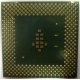 Процессор Intel Celeron 1000A SL5ZF (1000MHz /256kb /100MHz /1.475 V) s370 (Астрахань)