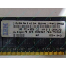 IBM 73P2871 73P2867 2Gb (2048Mb) DDR2 ECC Reg memory (Астрахань)