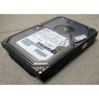 Жесткий диск 18.2Gb IBM Ultrastar DDYS-T18350 Ultra3 SCSI (Астрахань)