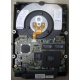Жесткий диск 18.2Gb IBM Ultrastar DDYS-T18350 Ultra3 SCSI (Астрахань)