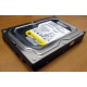 Жесткий диск 160Gb WD WD1602ABKS SATA (Астрахань)