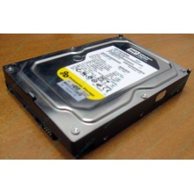 Жесткий диск 160Gb WD WD1602ABKS SATA (Астрахань)