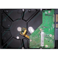 Б/У жёсткий диск 500Gb Western Digital WD5000AVVS (WD AV-GP 500 GB) 5400 rpm SATA (Астрахань)