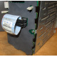 HP 365664-001 кабель SCSI для корзины 373108-001 / 359719-001 HP ML370G4 (Астрахань)