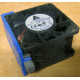Вентилятор TFB0612GHE для корпусов Intel SR2300 / SR2400 (Астрахань)