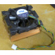 Intel D34088-001 s603 / s604 (Астрахань)