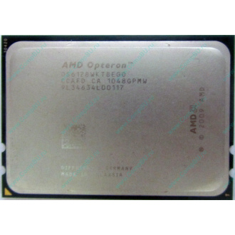 AMD Opteron 6128 OS6128WKT8EGO (Астрахань)