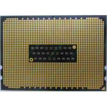 AMD Opteron 6128 OS6128WKT8EGO (Астрахань)