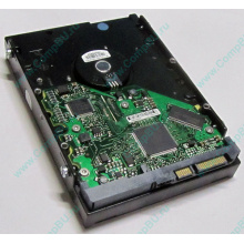 Жесткий диск 80Gb HP 5188-1894 9W2812-630 345713-005 Seagate ST380013AS SATA (Астрахань)
