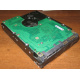 Жесткий диск 300Gb 15k Seagate Cheetach ST3300656SS 15K.6 Dell 9CH066-050 6G SAS (Астрахань)